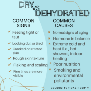 dry vs dehydrated skin